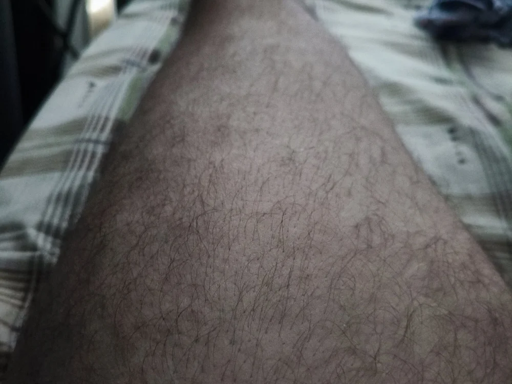 Chat XXX offline de kremmie