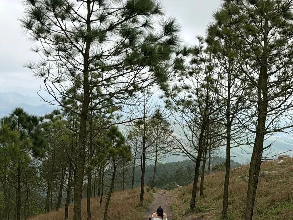 X_TraiChim Adlı Modelin Çevrimdışı XXX Sohbeti