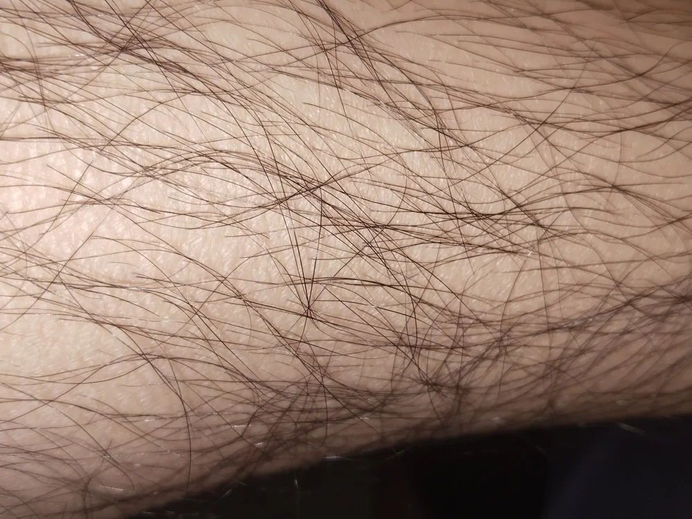 softguyy offline XXX-chat