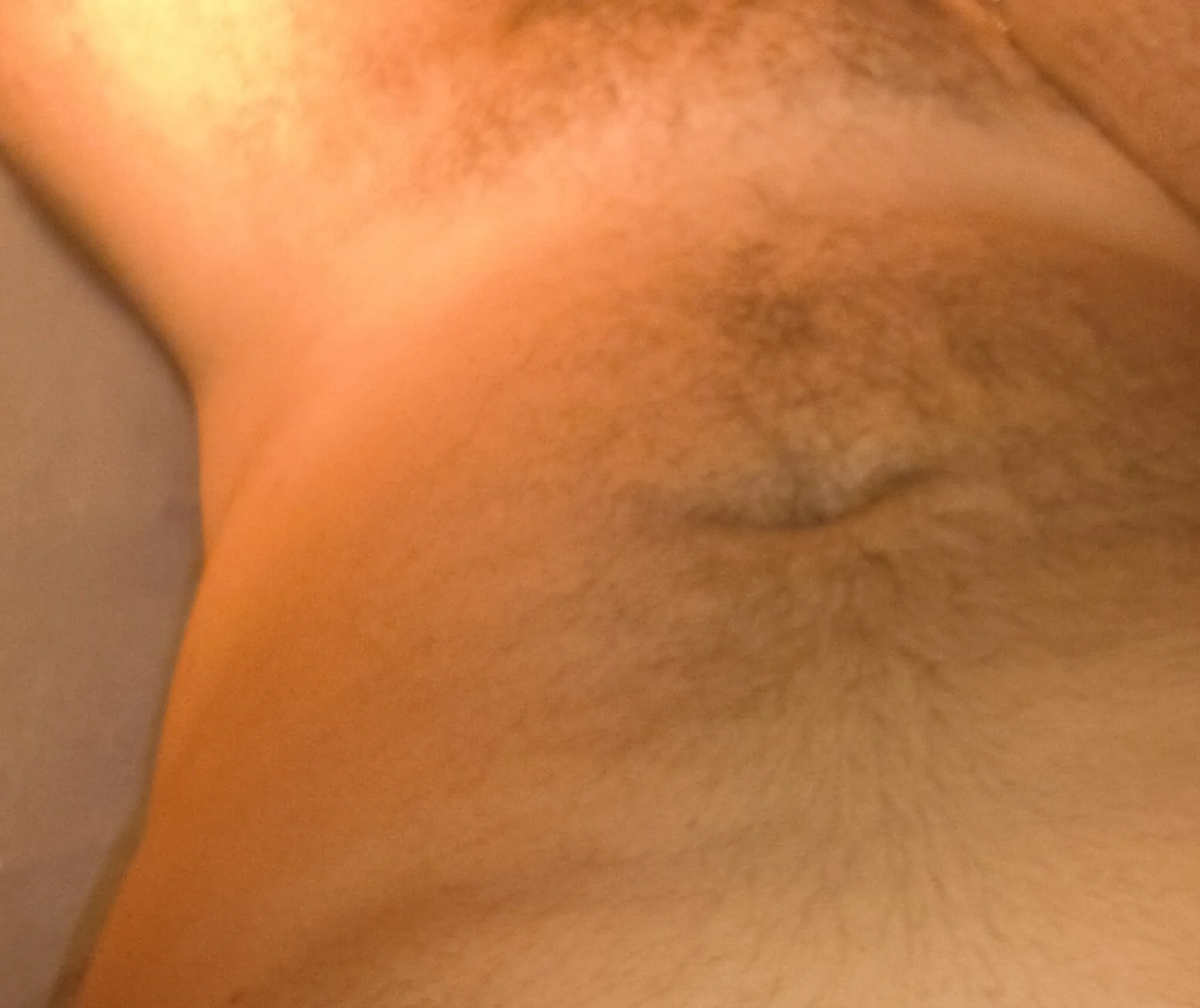 Sap8ensza live webcam