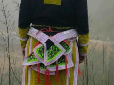 phay79 - live cam model