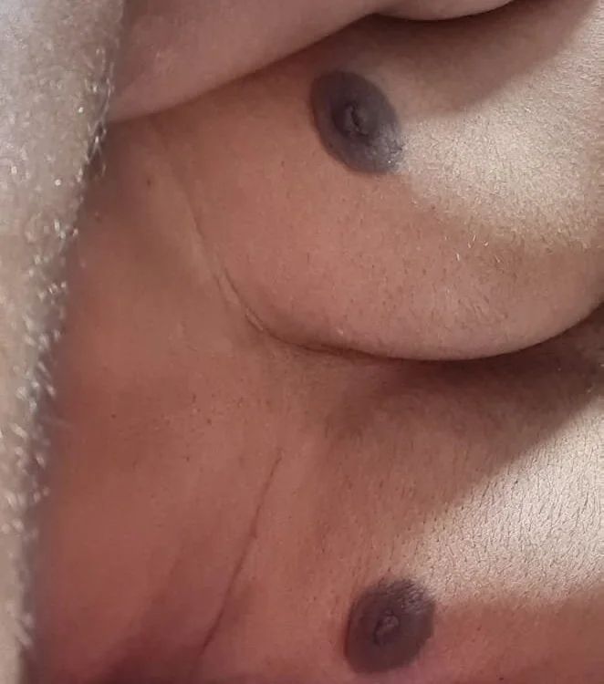 XRAKHI 离线XXX聊天
