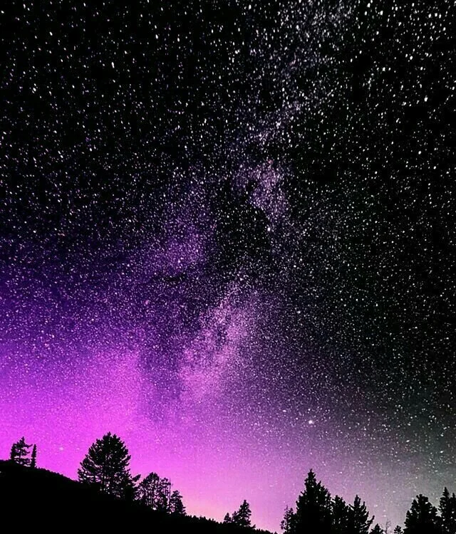 wildcrazy27