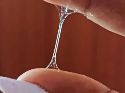 samanthaabloom profile