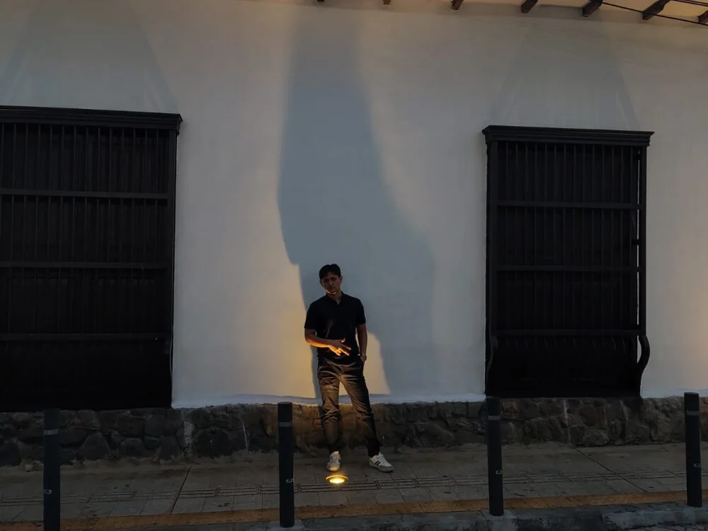 zayn_noxville – Offline XXX chat