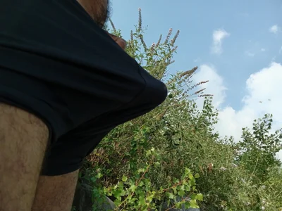 Ayoubb43 - Boy 