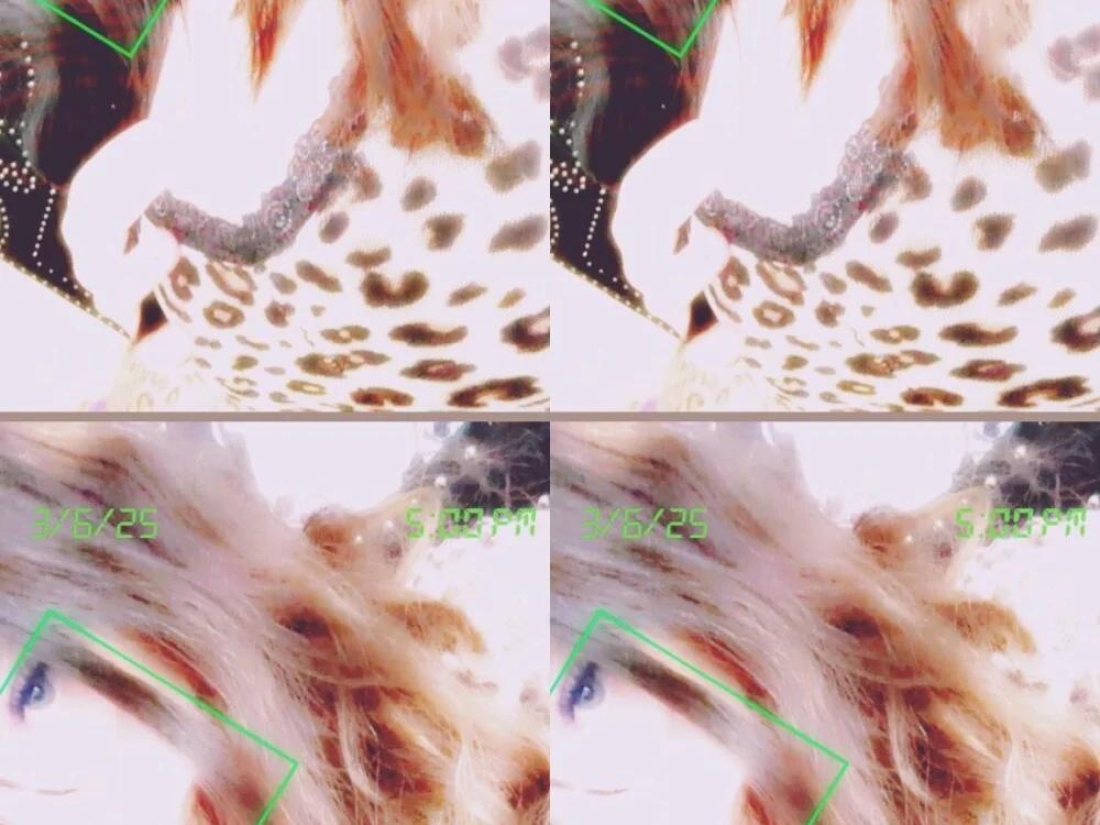 juicygoth202's Offline XXX Chat