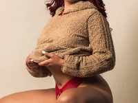 Модель HannaScott_