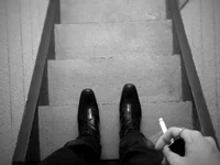 night_secrets_ webcam thumbnail