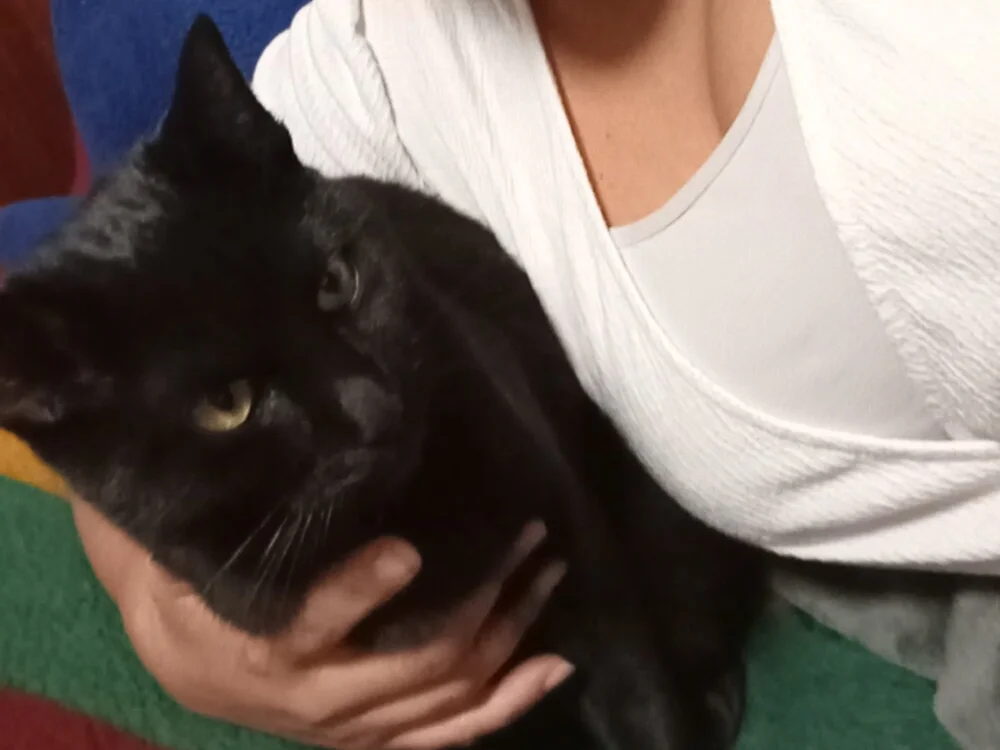 Daisy91 offline XXX-chat