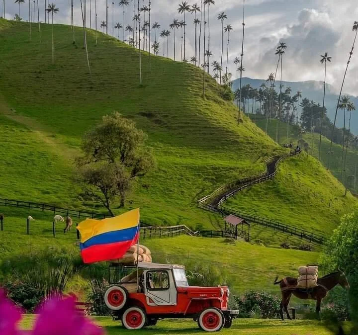 دردشة Horny-boy-01 الجنسية دون اتصال