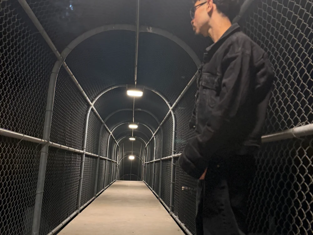 zekepereaa's Offline XXX Chat