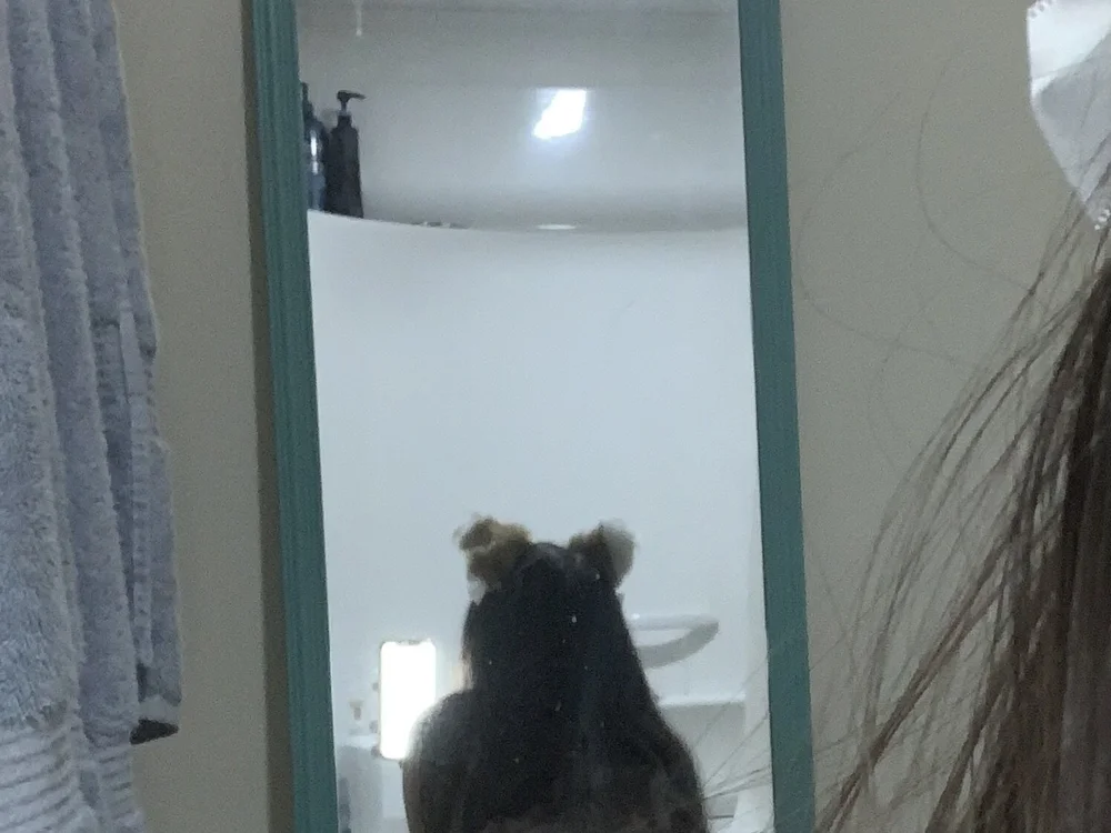 foxycouple69 offline chatrum