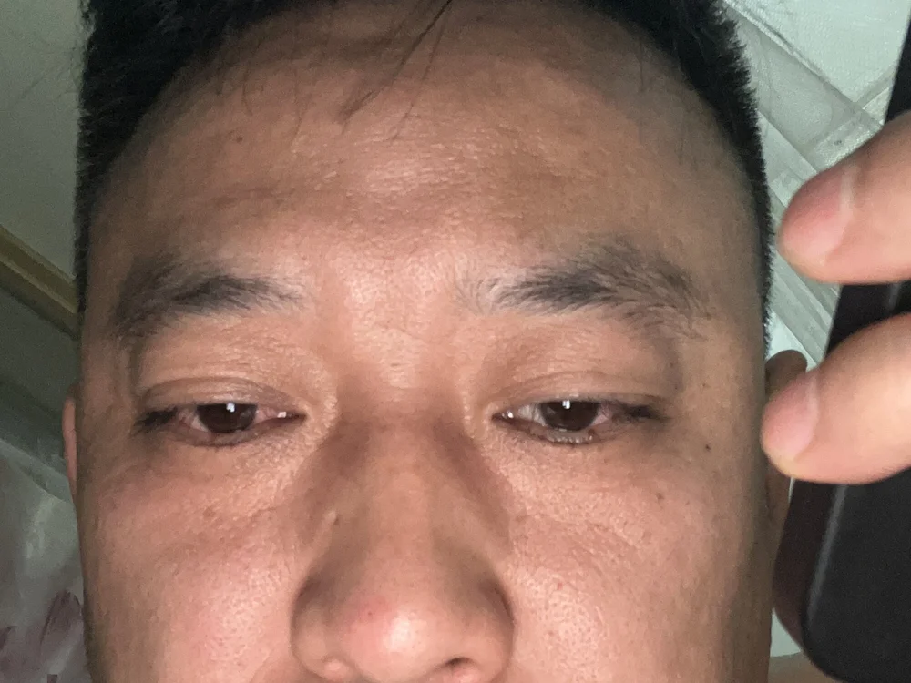 add-568