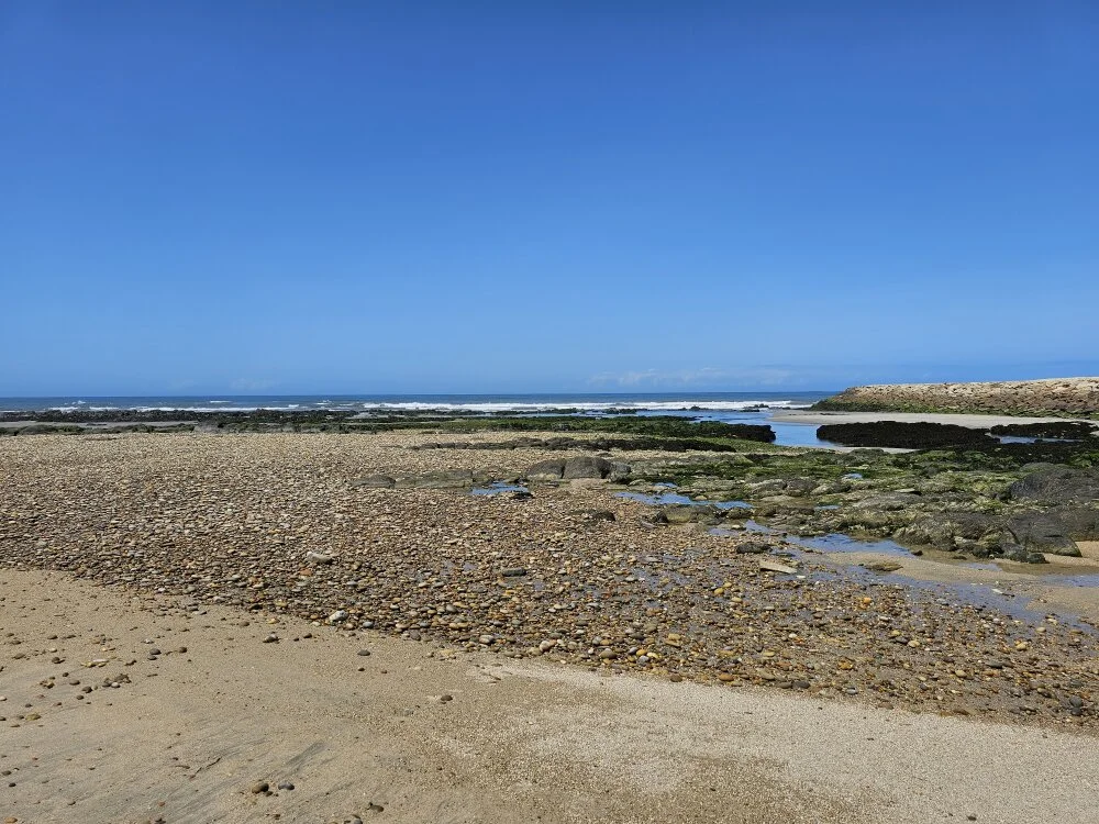 ravingr4d4 Offline XXX-chat