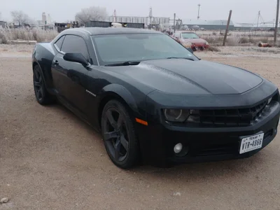 bearded_cross profile