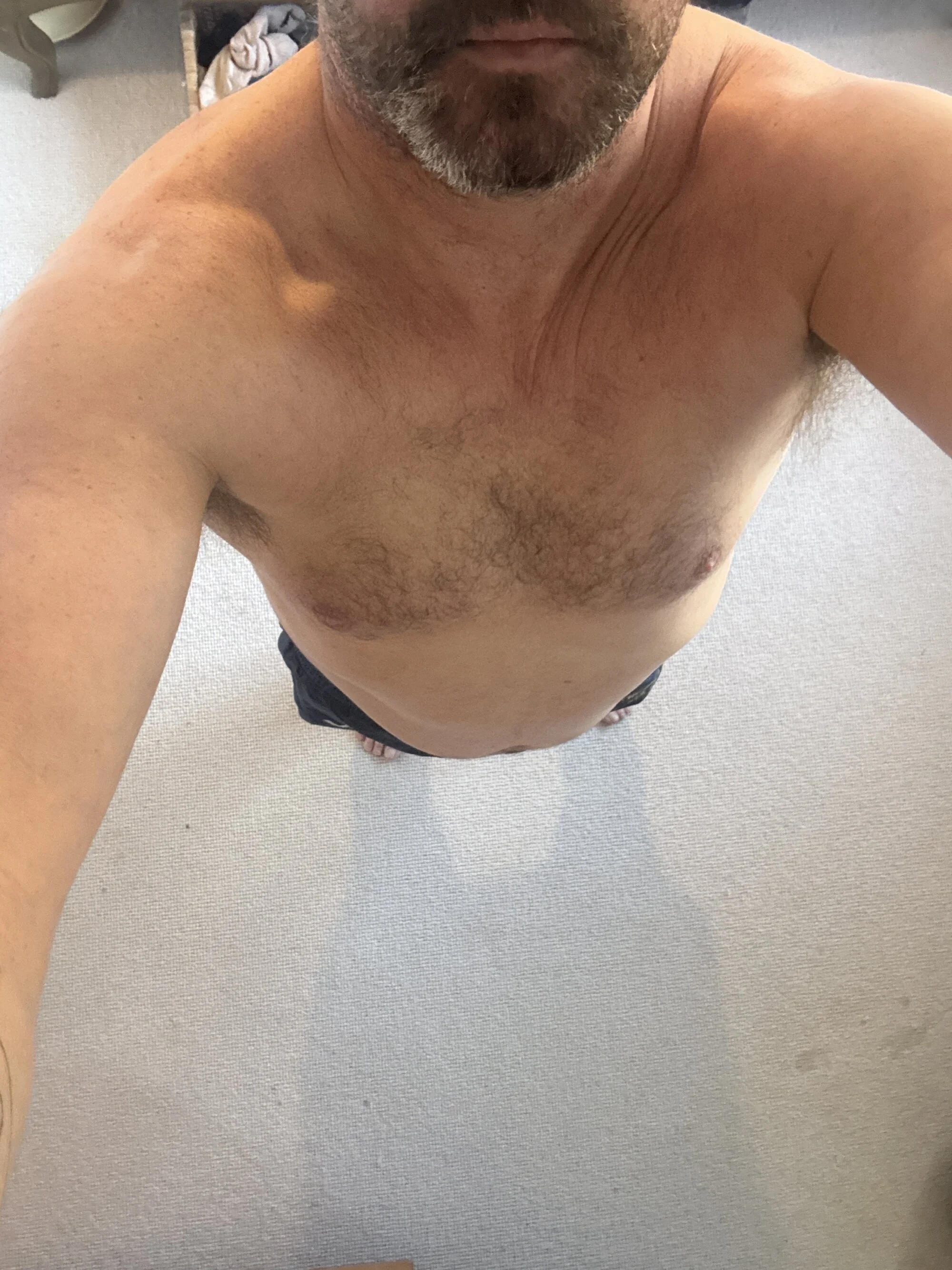 CyprioteWhitefly live webcam