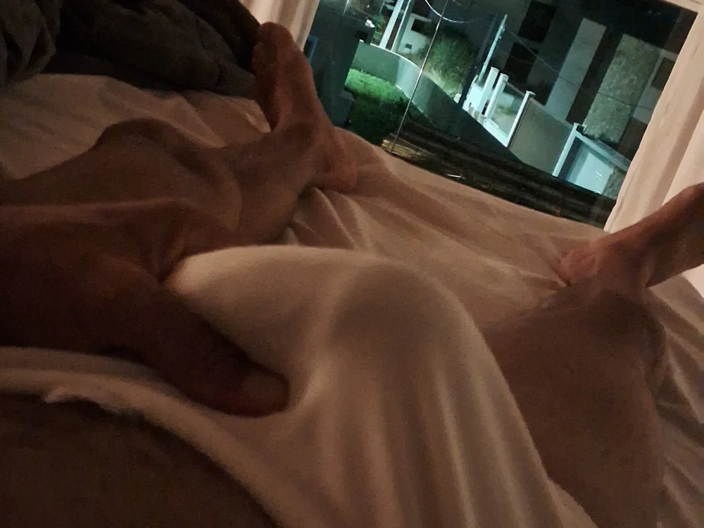 Nicostorm offline XXX-chat