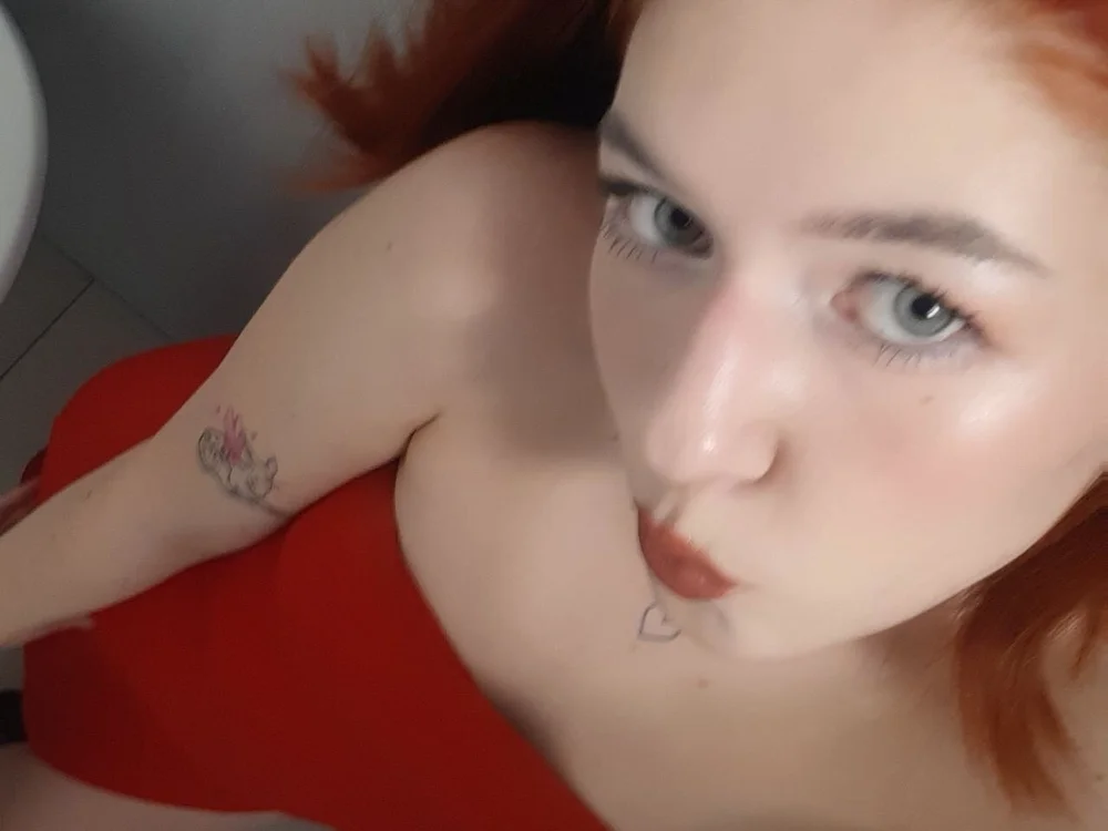 Chery_hey cam model