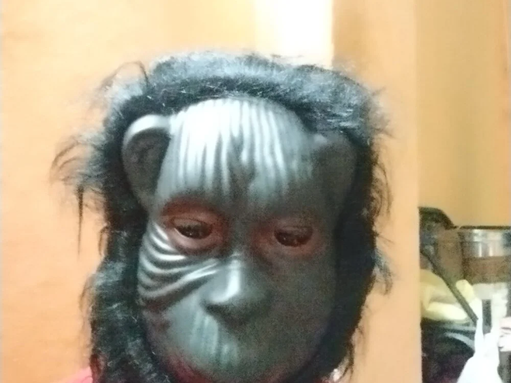 R_S888 离线XXX聊天