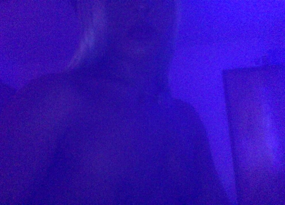 Bunnyisarider offline XXX-chat