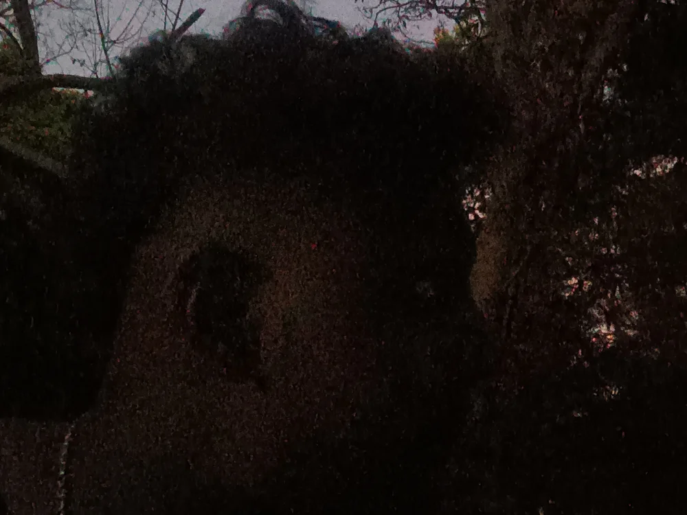 shanu2002's Offline XXX Chat