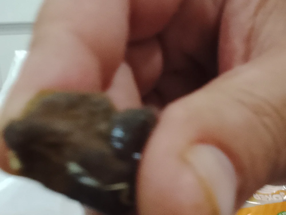 theu23cm 离线聊天室