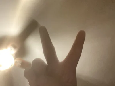 hairytedyshy profile