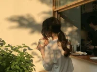 Модель Aoki_sweet