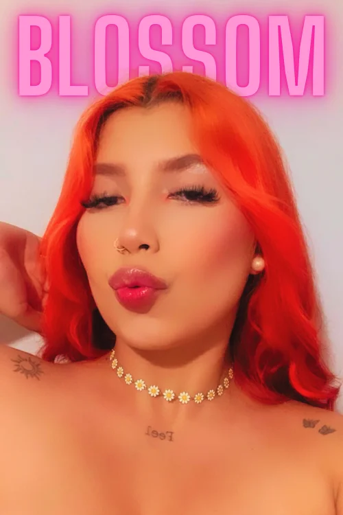 priimrose_'s Offline Chat Room
