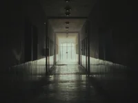 Модель Zooz-bigdick-19