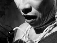 Модель Merybeks