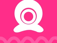 kds202511 webcam model
