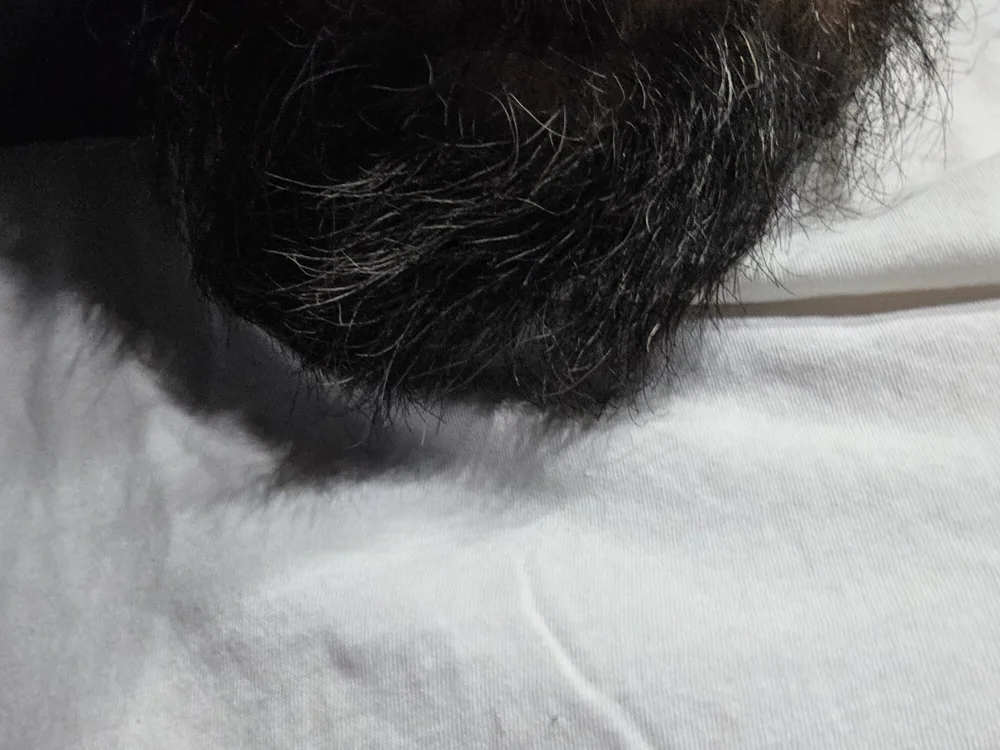 Offline chatovací místnost bigdildos4fun