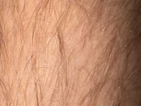 Jungergeilerschwanz1's webcam live show