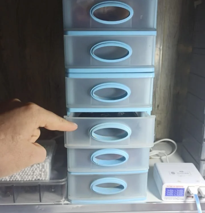 Samyreusi Offline XXX-Chat