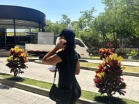 Модель Capricho_01