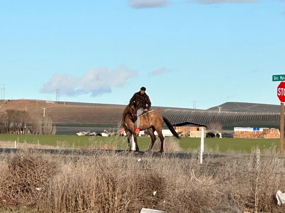 lokillo09 Adlı Modelin Çevrimdışı XXX Sohbeti