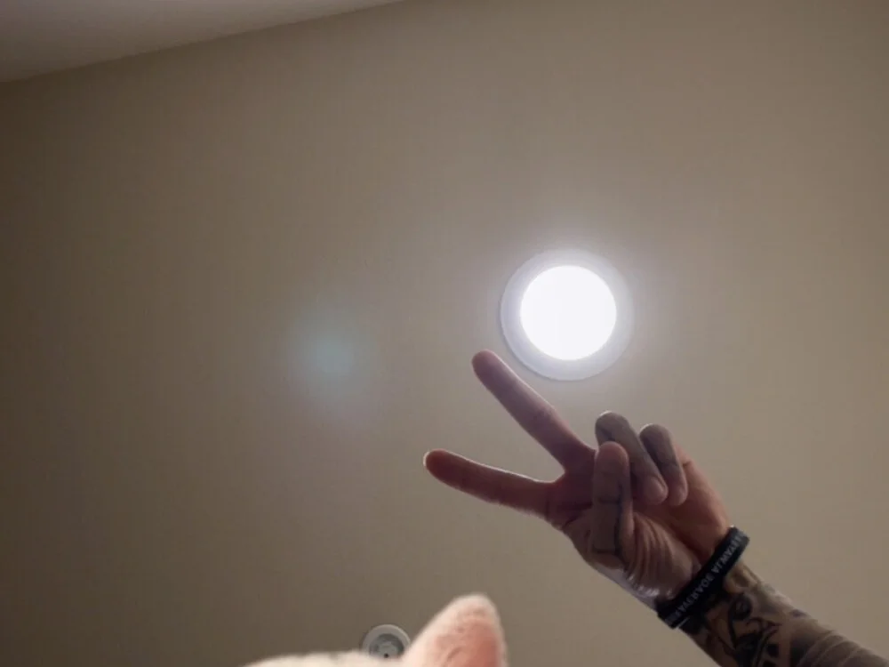 shredd_szn24: офлайн-секс-чат