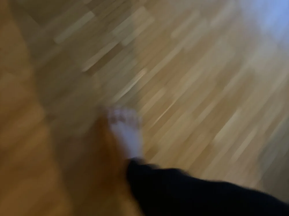 fangmo Offline XXX Chat