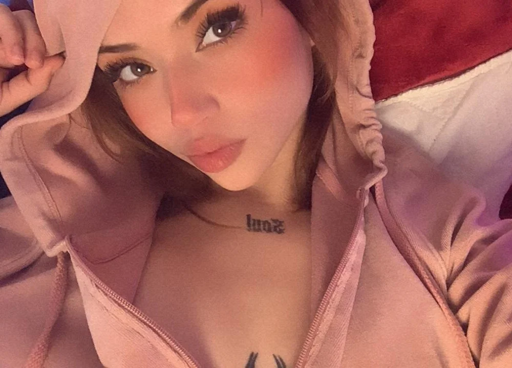 Honney_Taylor cam model