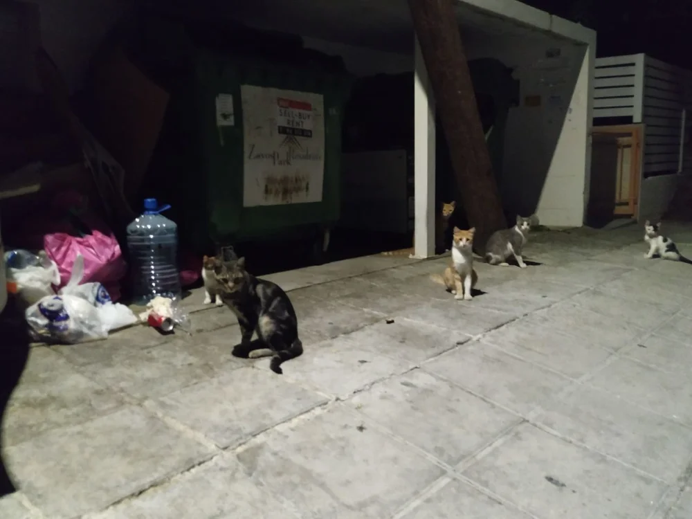 Sala de chat offline de TestModel111