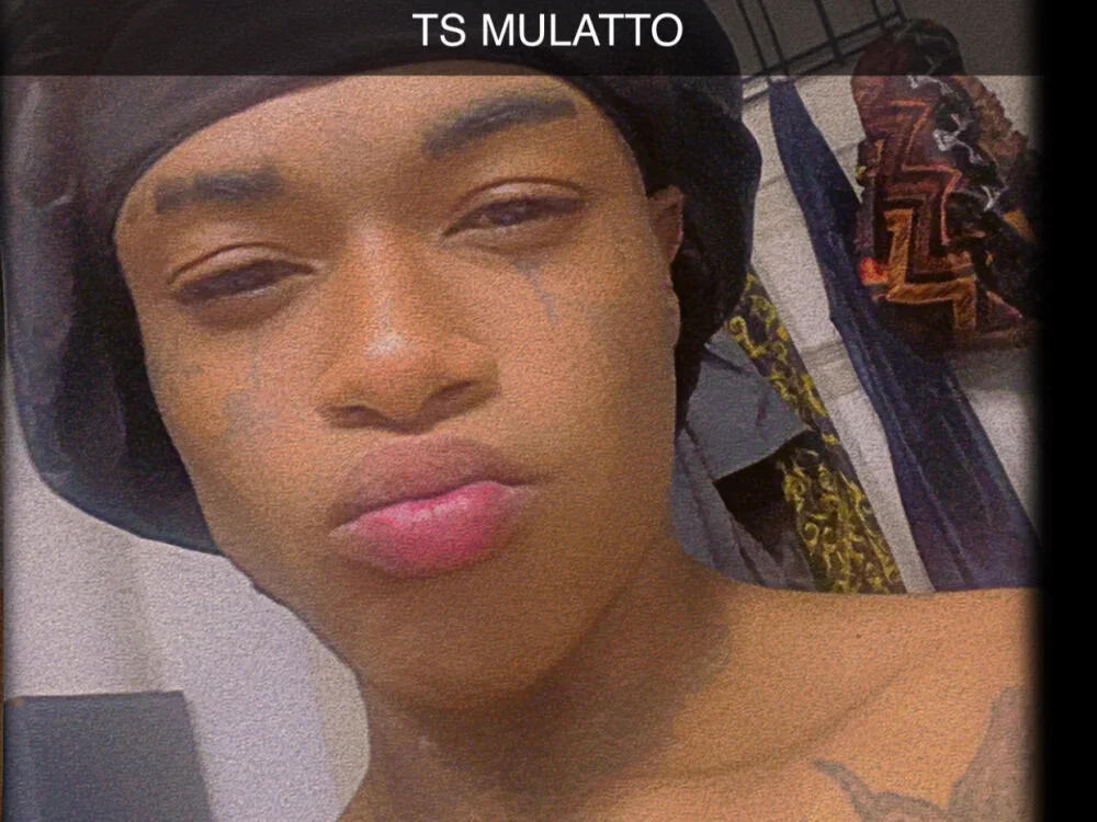 TSMULATTO1's Offline XXX Chat