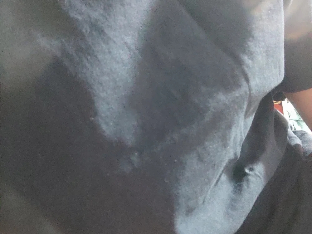 bigboy_dicks