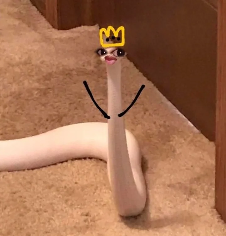 Diosadeebano96 Offline Chatraum