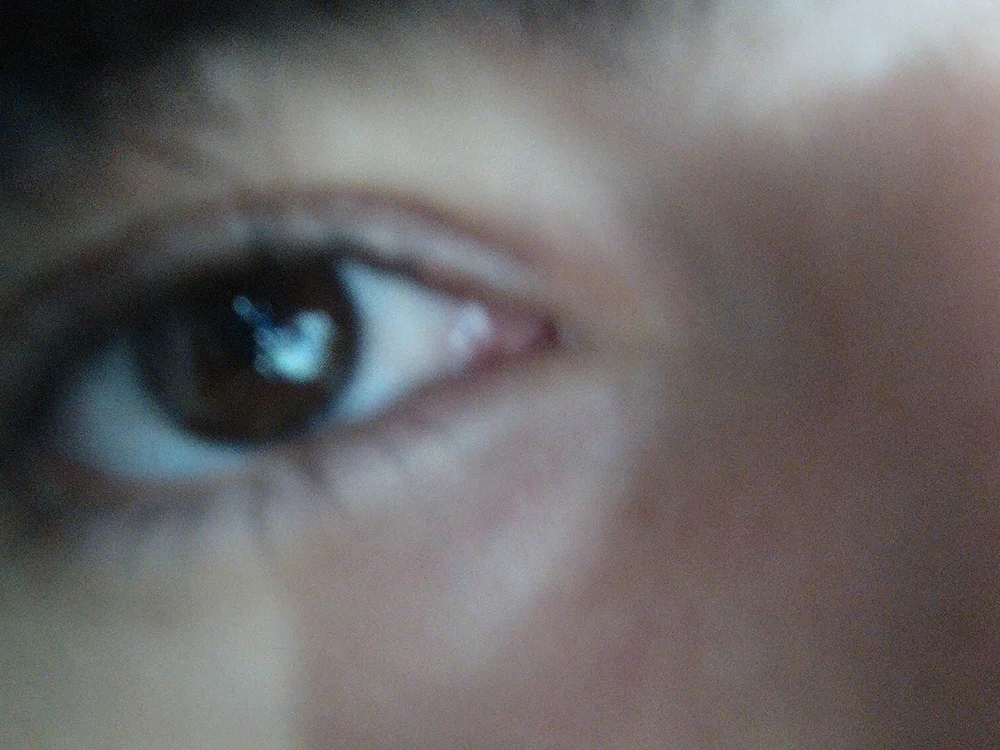 Spaghetti_broad Offline XXX Chat