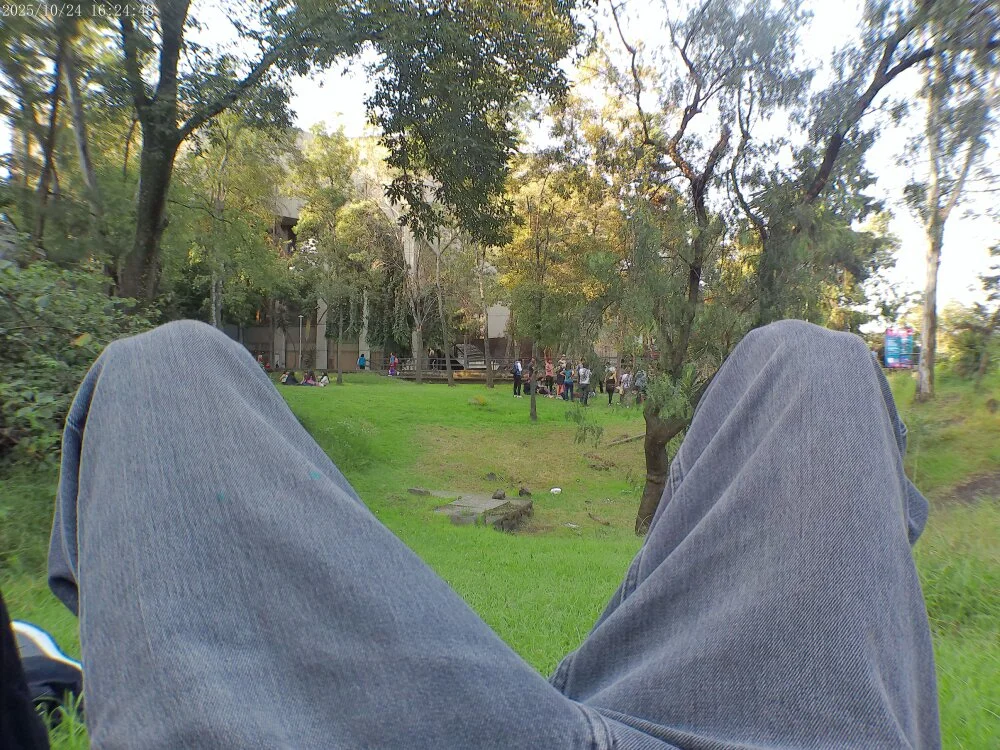 Ganstafaraii's Offline Chat Room