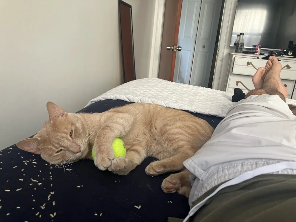 onedayonedollar's Offline XXX Chat