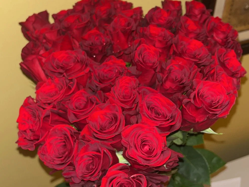 ThornedByEvy's Offline XXX Chat