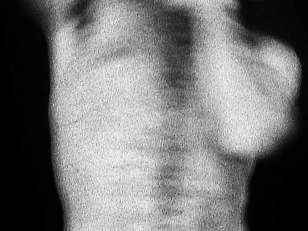 pelosenelcuerpo 2